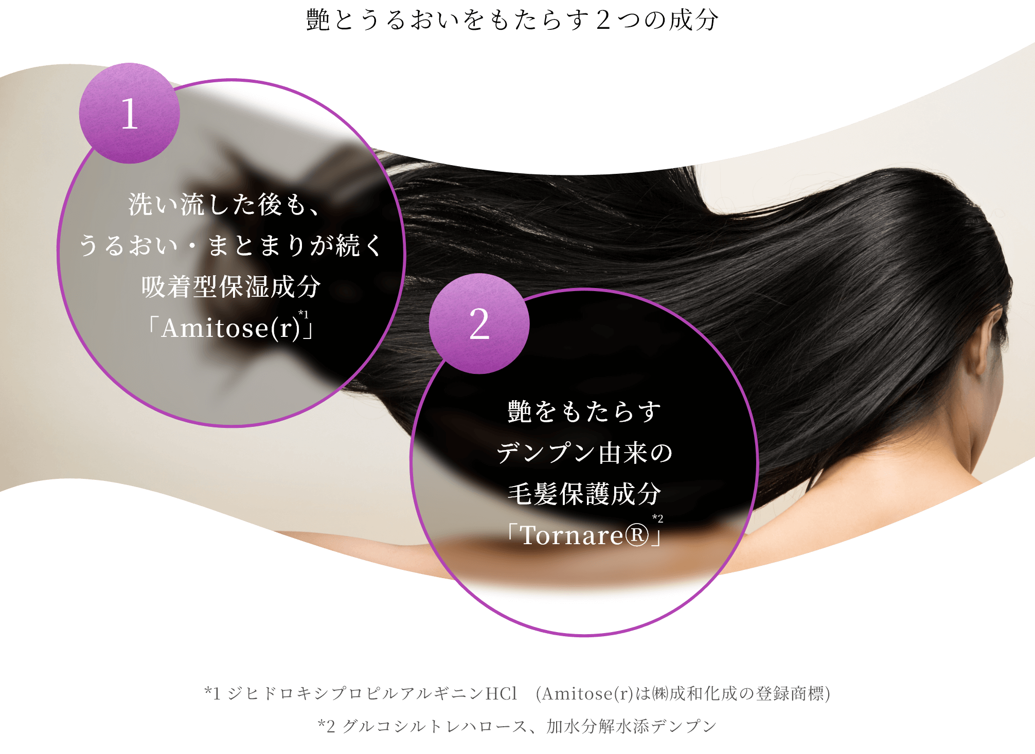 洗い流した後も、うるおい・まとまりが続く吸着型保湿成分「Amitose(r)*1」 艶をもたらすデンプン由来の毛髪保護成分「TornareⓇ*2」*1 ジヒドロキシプロピルアルギニンHCl (Amitose(r)は㈱成和化成の登録商標) *2 グルコシルトレハロース、加⽔分解⽔添デンプン